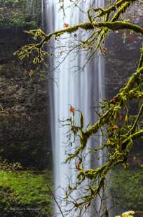 Silver Falls-1674